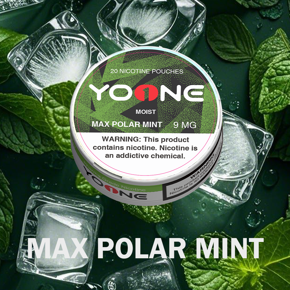 YOONE Pouches Max Polar Mint 9MG (Moist)