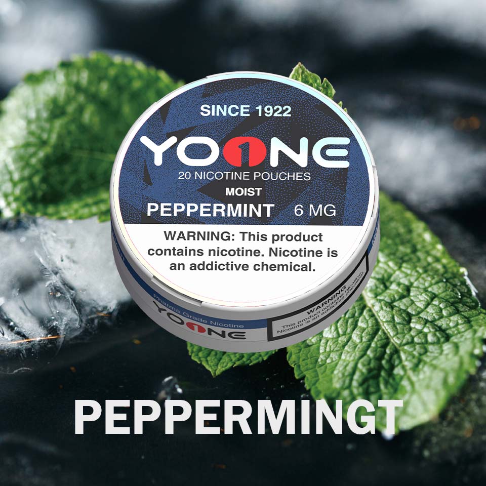 YOONE Pouches Peppermint 6MG (Moist)