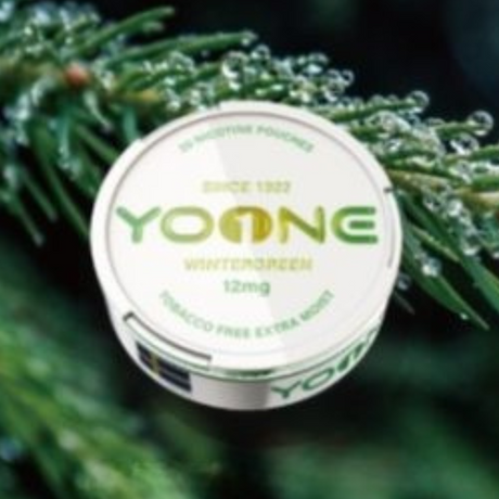 YOONE Pouches Wintergreen 12MG (Moist)