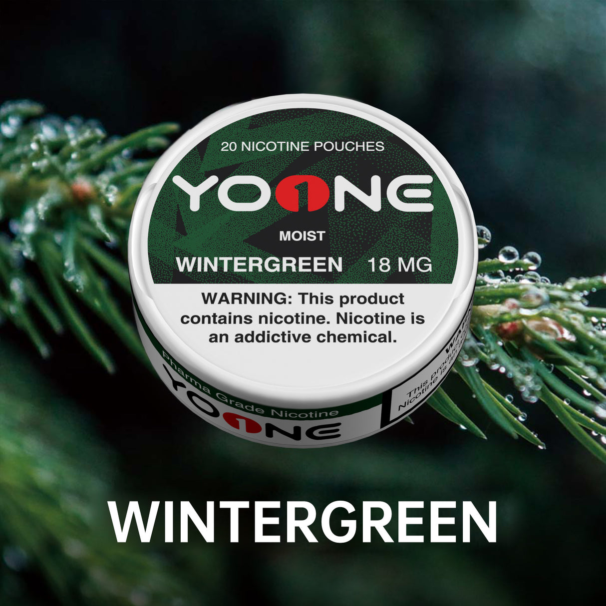 YOONE Pouches Wintergreen 18MG (Moist)