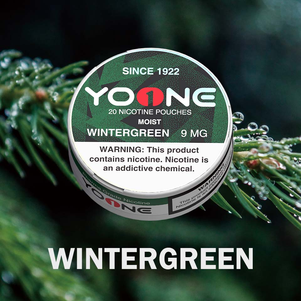 YOONE Pouches Wintergreen 9MG (Moist)